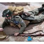 DID 1/6 Niels, SS-Panzer-Division"DAS Reich", SS Engineer, Eastern Front 1943