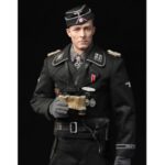 DiD WWII German SS Standartenführer 1/6 Joachim Peiper (80120)