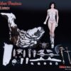 PL2017-105] TBLeague Silver Huntress SHCC Exclusive 1/6 Boxed Figure - Image 17