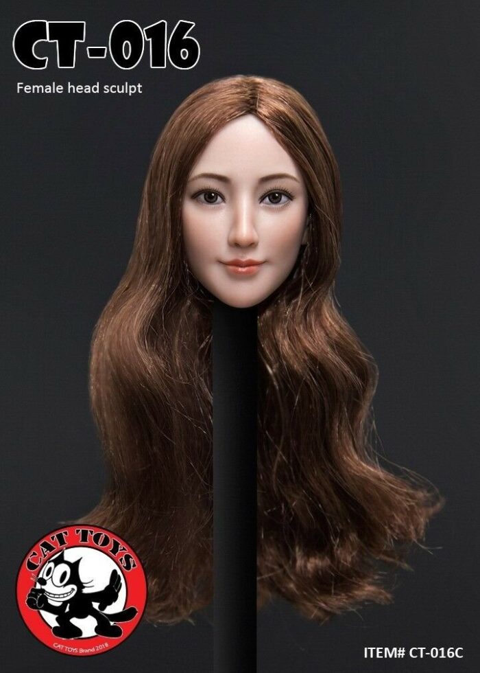 CAT TOYS 1/6 Asian Female Head Sculpt CT016 C Long Brown Hair