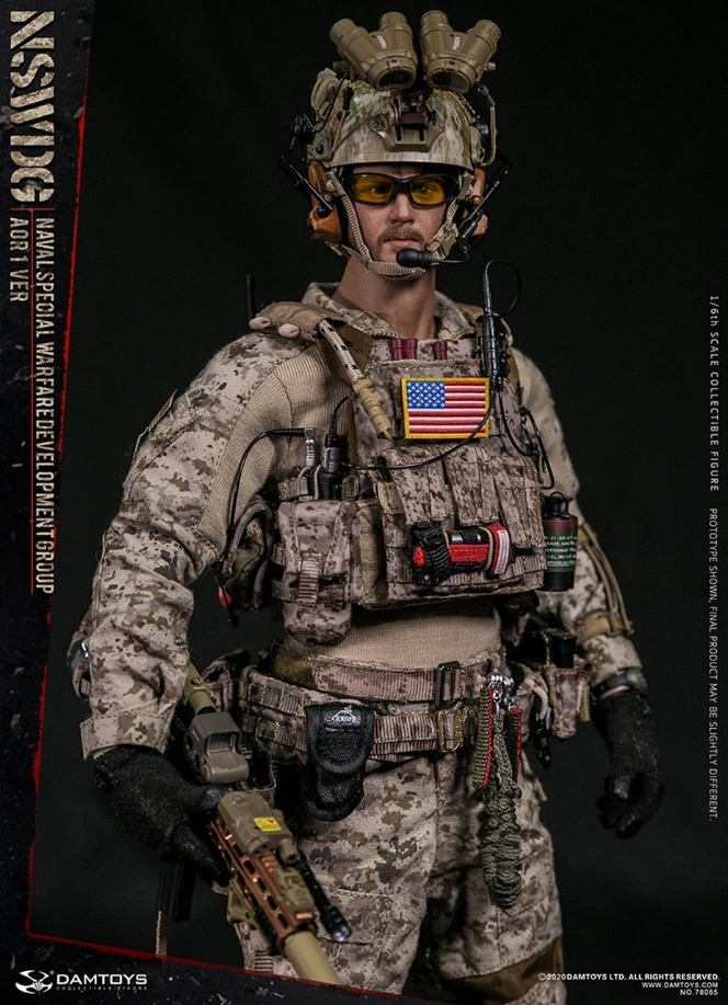 US United States Naval Special Warfare Development Group Patch Desert DEVGRU 