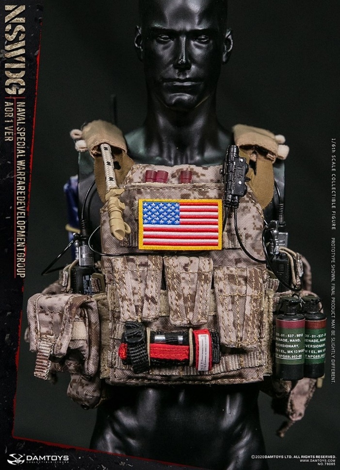 Details about   A14-60 1/6scale DAMTOYS 78065 NSWDG Navy Seals-grip 