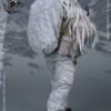 Soldier Story 1/6 Scale 12" NSW Navy Seal Winter Warfare Marksman Figure SS-109 - Image 4