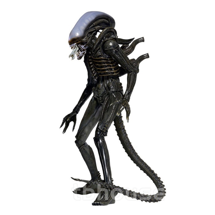 22" ALIEN figure 1/4 SCALE XENOMORPH 1979 big chap OPEN MOUTH VERS aliens NECA - Image 3