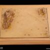 DIORAMA SET "STAR OF AFRIKA"  WWII GERMAN LUFTWAFFE FLYING ACE  DID 1/6 SCALE ACCESSORY SET (FIGURE SOLD SEPARATELY) E60060 - Image 6
