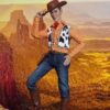 Play Toy Happy Cowboy 1/6 Scale Boxed Figure PT-P015 woody - Image 4