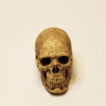 1:6 Scale Skeleton Skull Head Sculpt  For 12" Action Figures    F11