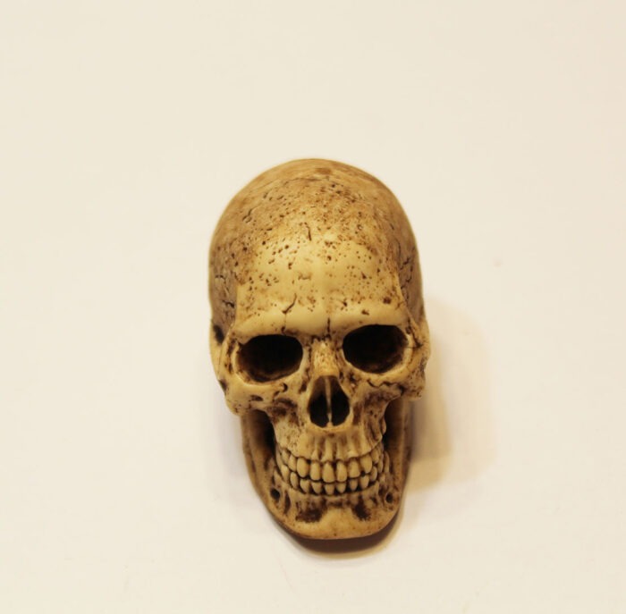 1:6 Scale Skeleton Skull Head Sculpt  For 12" Action Figures    F11