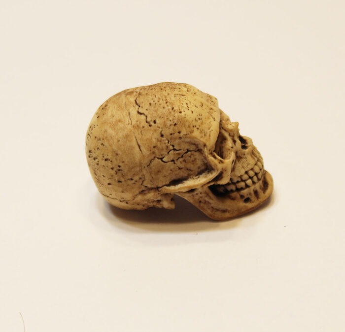 1:6 Scale Skeleton Skull Head Sculpt  For 12" Action Figures    F11 - Image 2