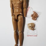DiD 1/6 body BD001 with 2 sets of hands