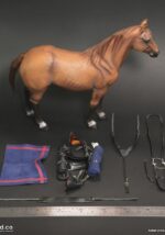 Brown-Red War Horse  DiD 1/6 Scale E60082 for Captain nathan